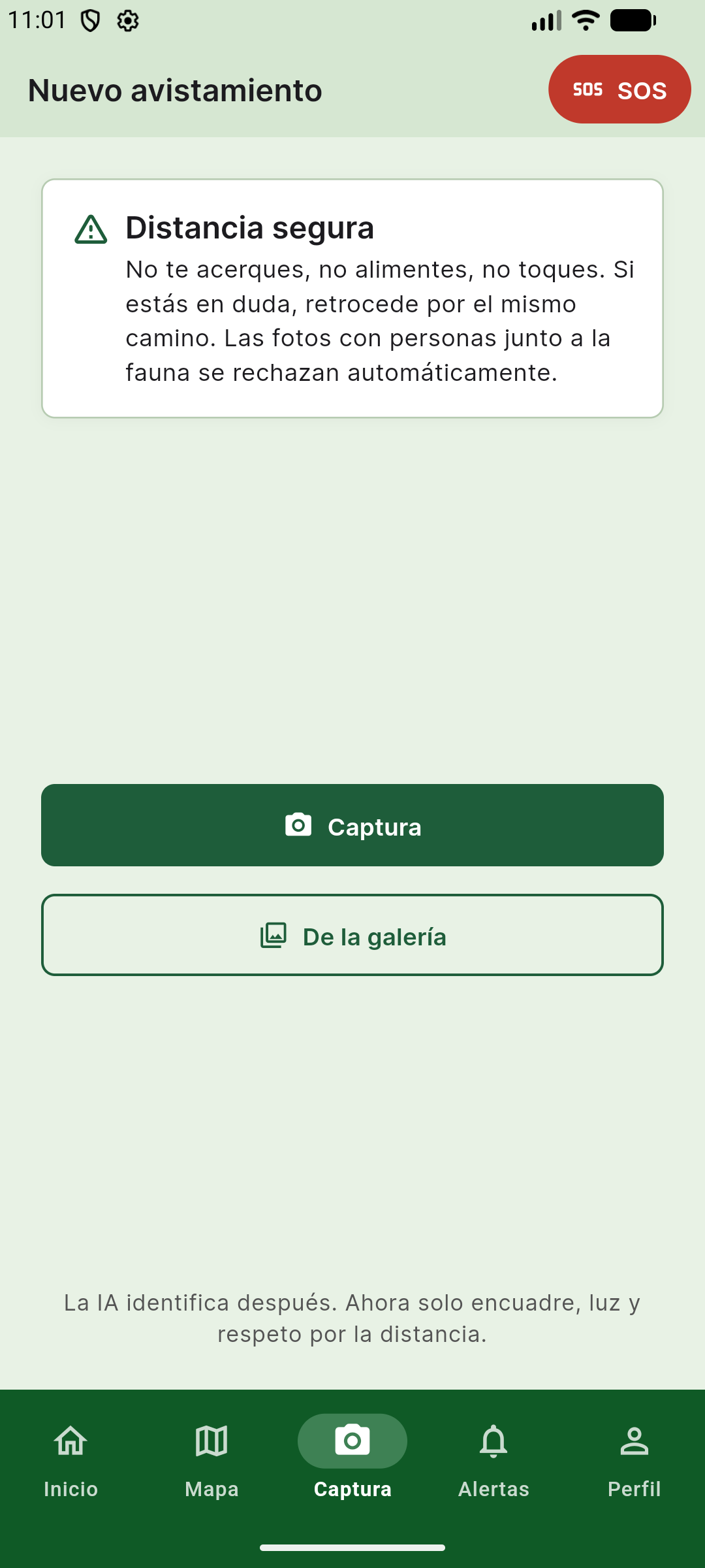 Pantalla de cámara de WildVisor